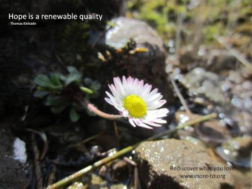 Daisy - hope is renewable quote