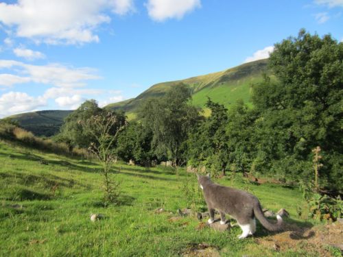 Sunny view looking towards Gospel Pass