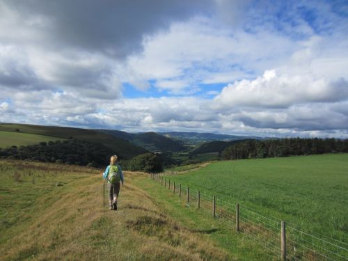 Offa's Dyke near Kington