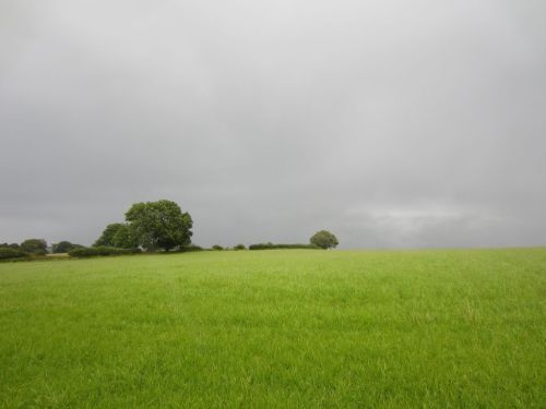 Rainy field, Offa's Dyke Knighton