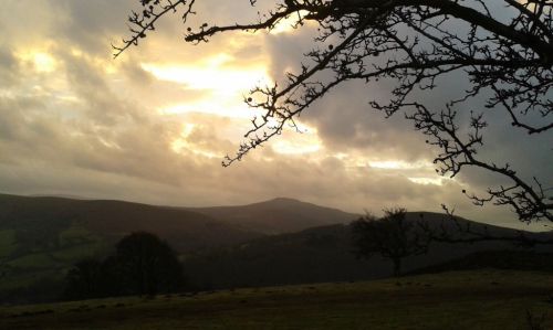 compr_20141231_155821