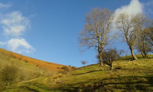 compr_20150102_113017