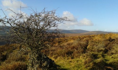 compr_20150102_122115