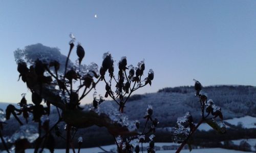 compr_20150114_081339