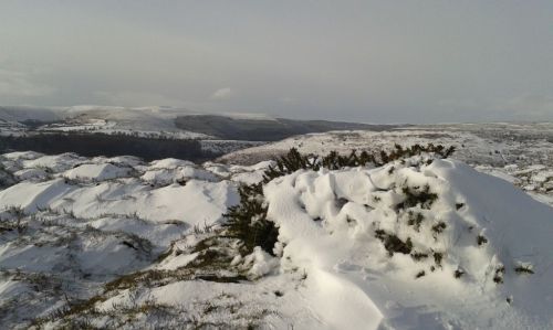 compr_20150114_122058