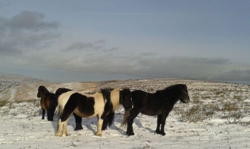 compr_20150114_130717