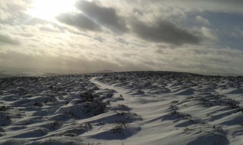 compr_20150114_131423