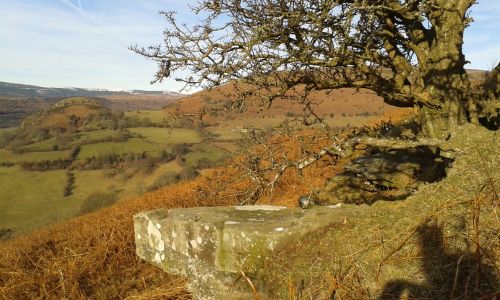 Compr_20150208_102753