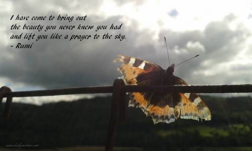 Beauty you never knew you had